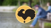 Загородная жизнь HD