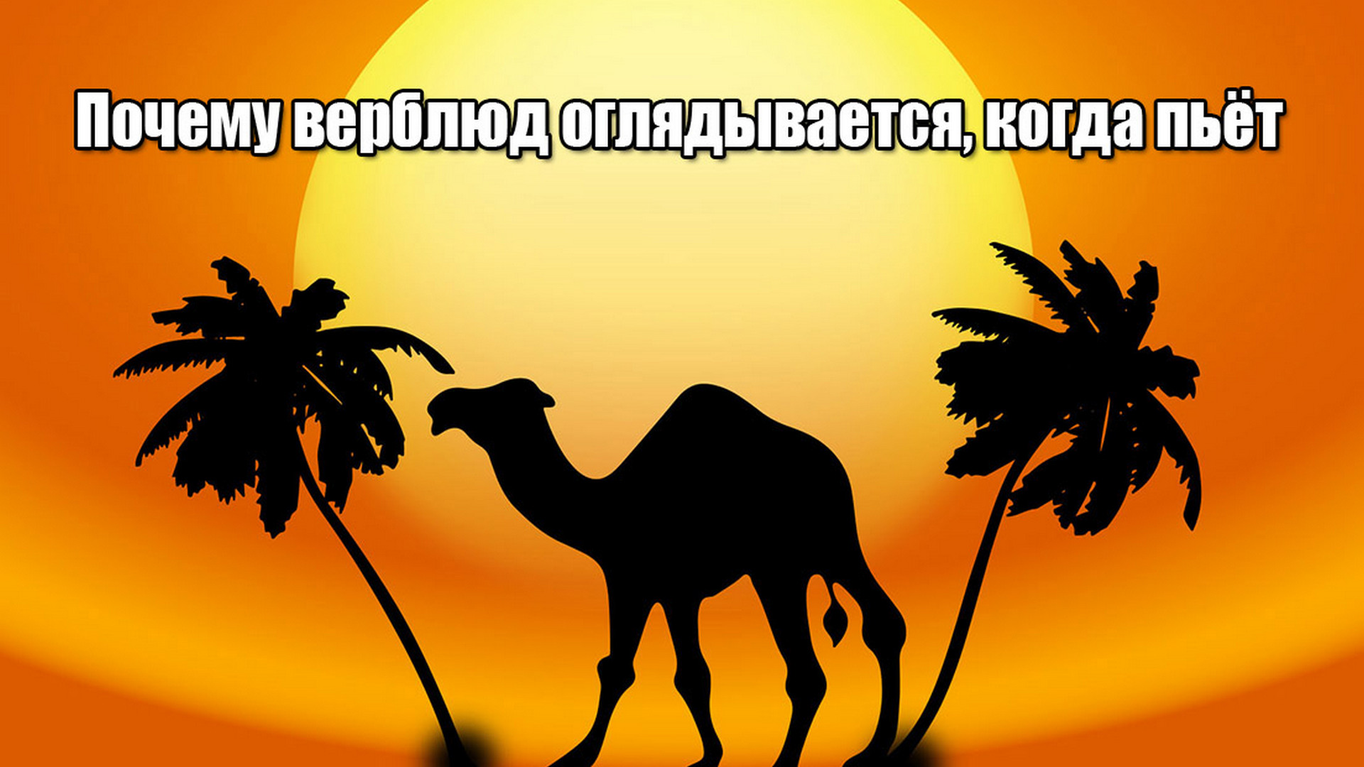 Почему верблюд оглядывается. Пальмав пустныне на верблюдах. картина закат востока с зданиями и верблюдами и пальмами. почему верблюд оглядывается когда пьет сказка.